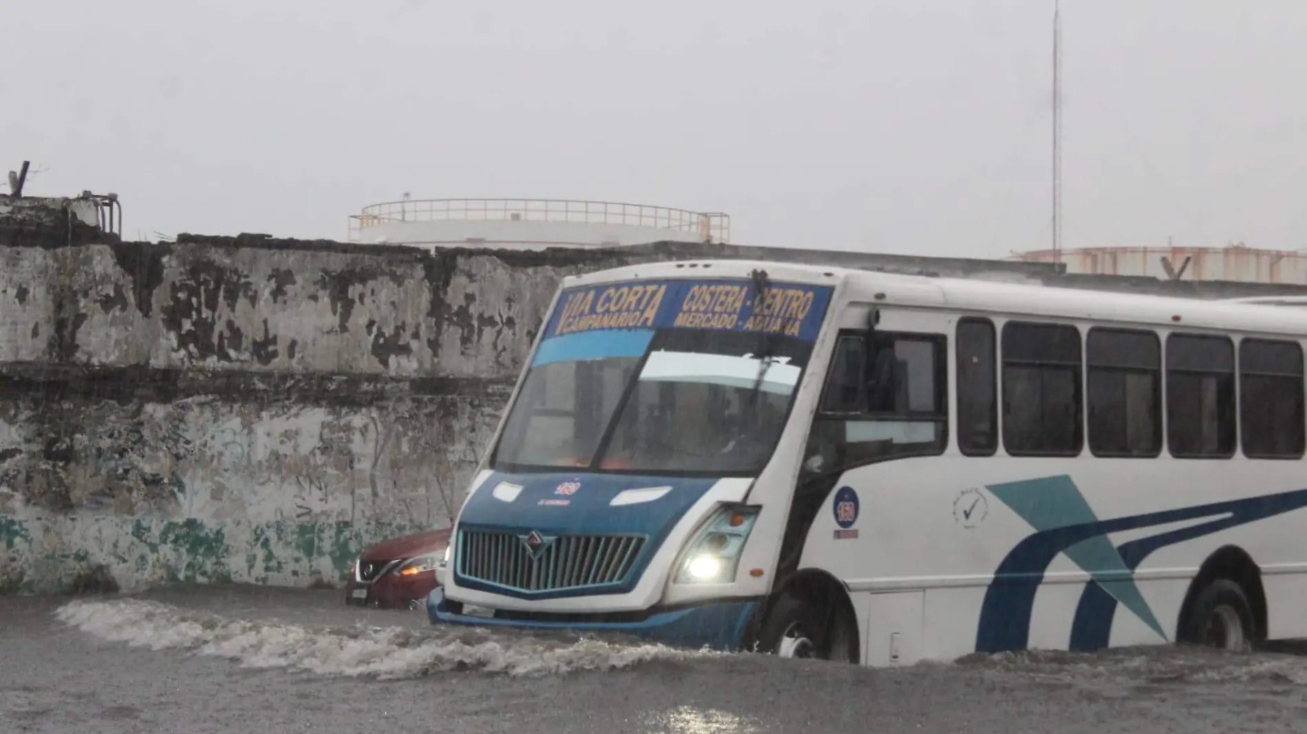 Autobuses | Camiones de Veracruz 